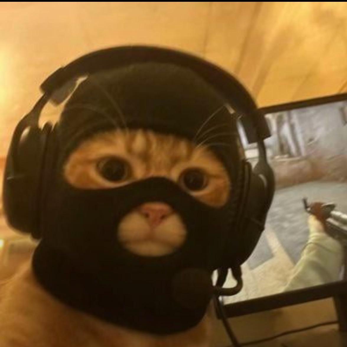 zzDan