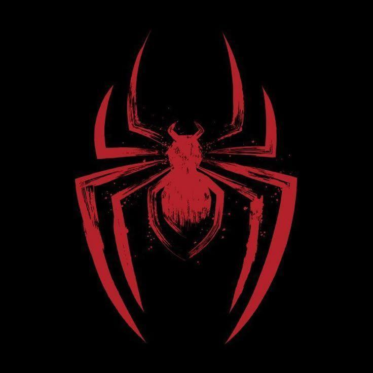 seregataiga avatar