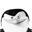 Jackall06