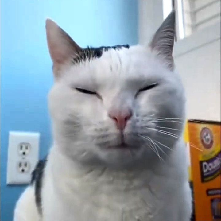 koom24ru