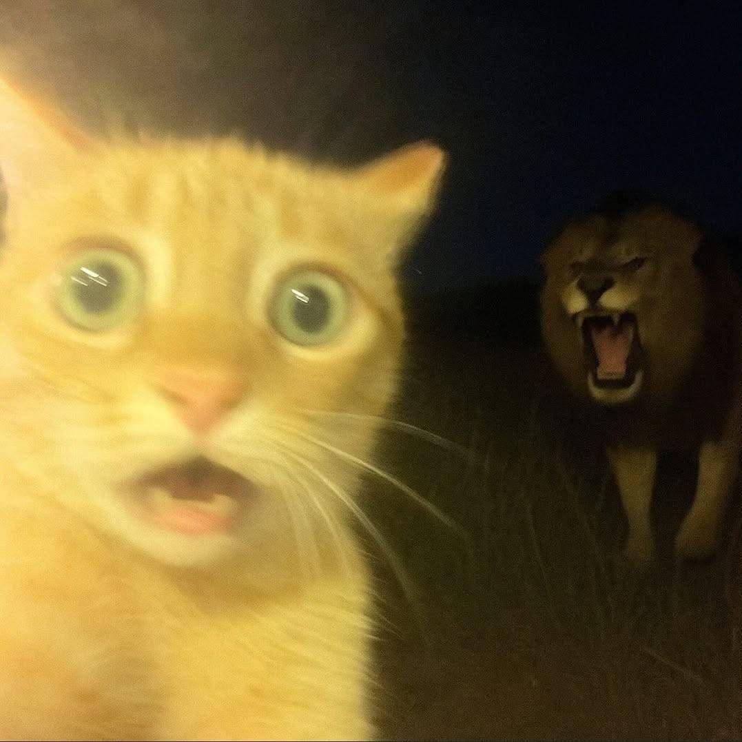 snanta avatar