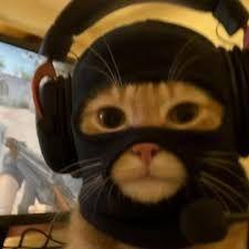 BruceL337 avatar