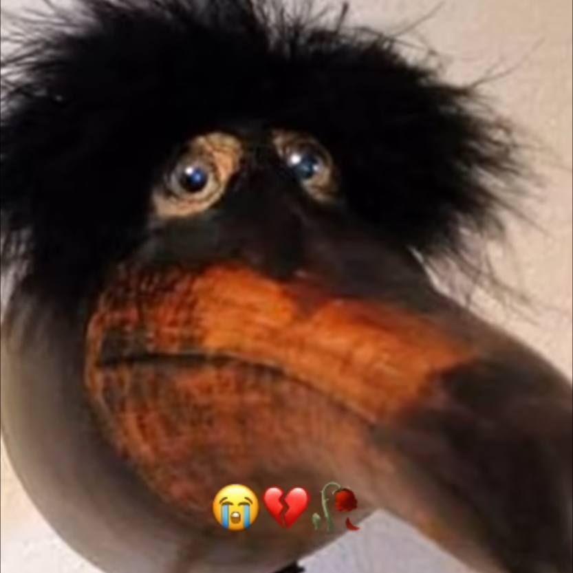 ropzicle