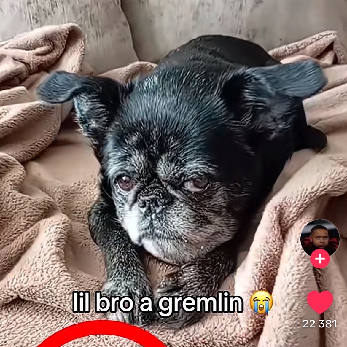 team_gremlin666