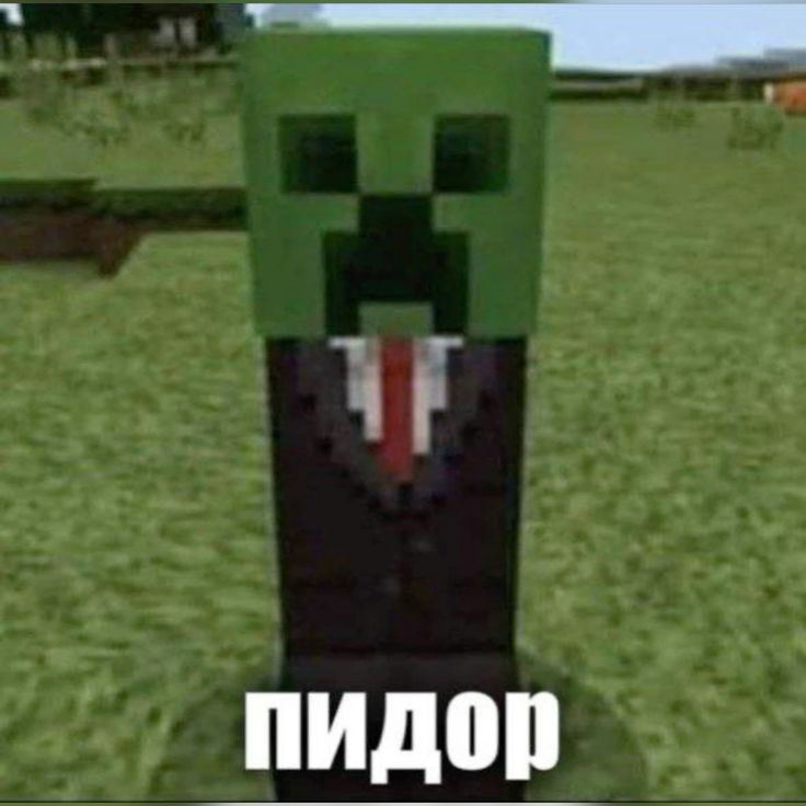 z1p_54
