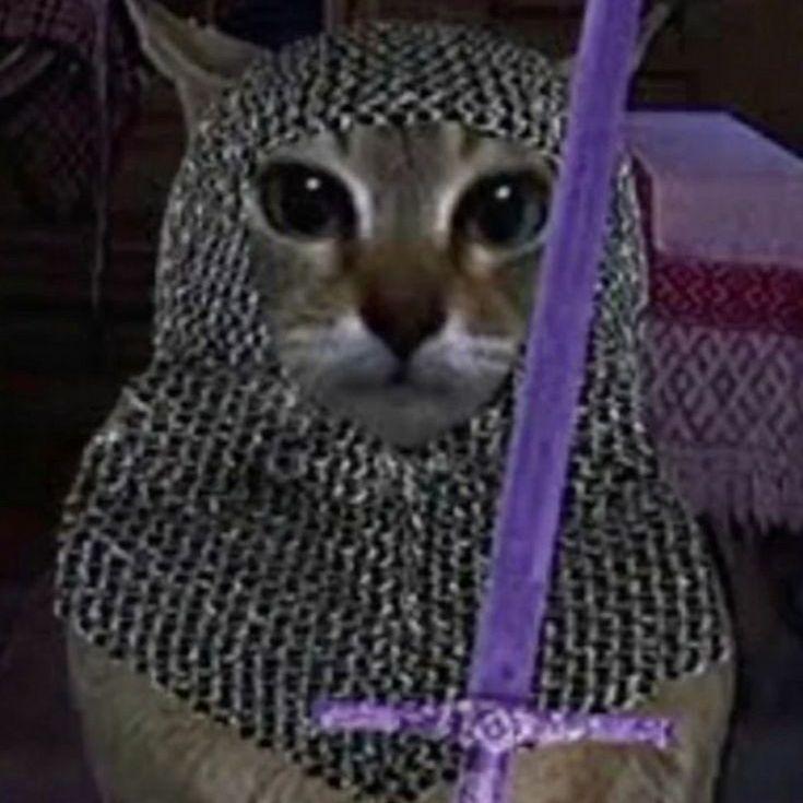 dexo52 avatar