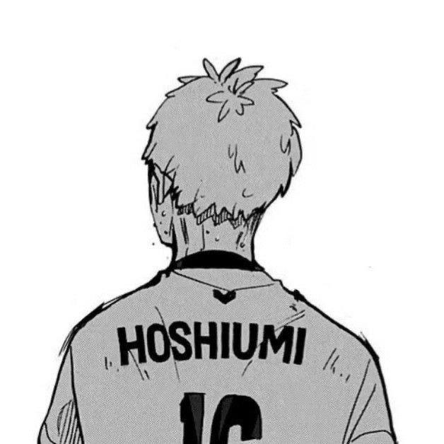 Player -hoshiumi avatar