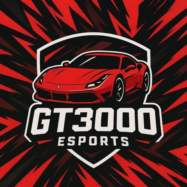 GT3000