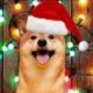 New_Year_Dog avatar