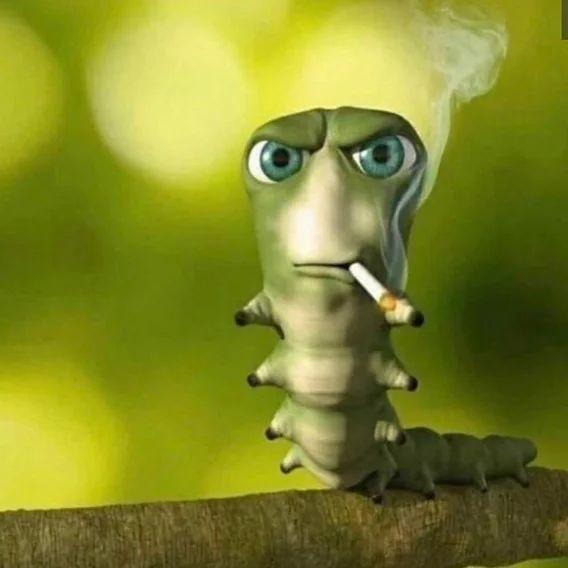 malte8 avatar