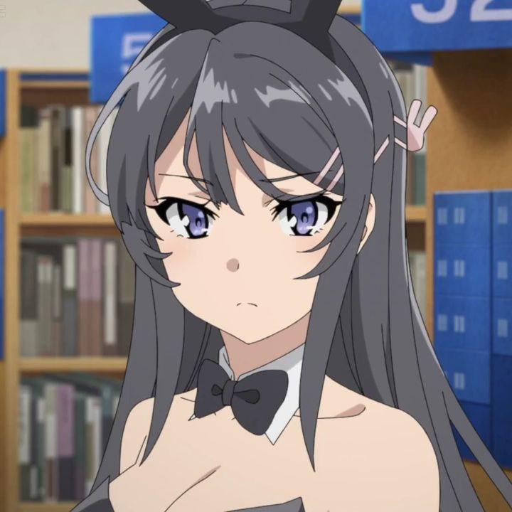 dangxpark avatar