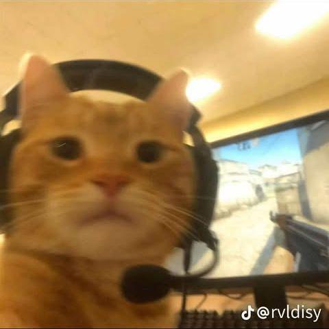 Francisco32_ avatar