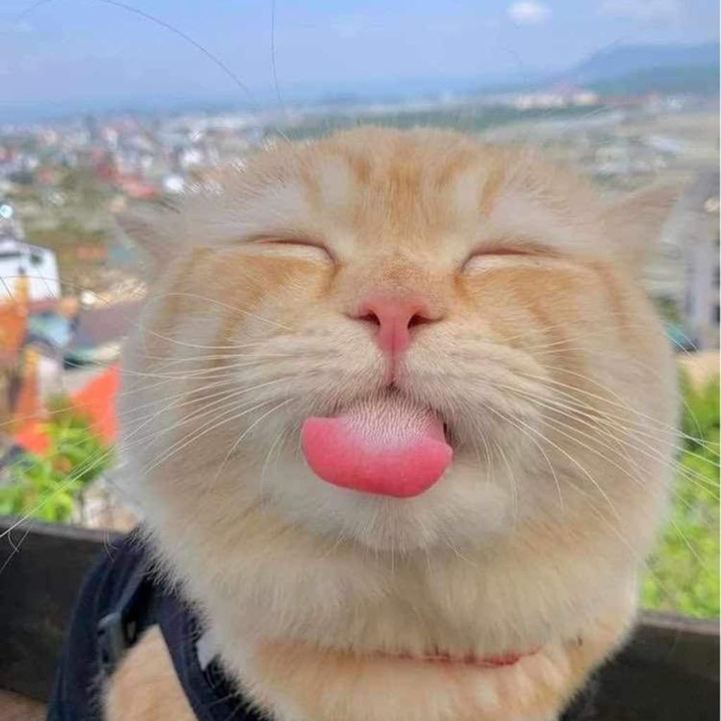 GatkiAgatki