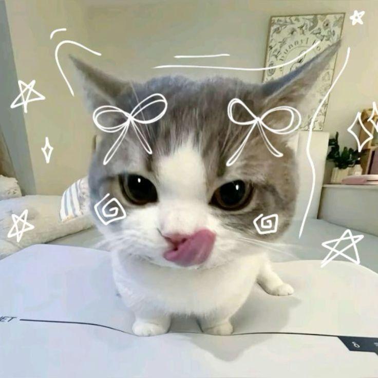 H0N0REK-_- avatar