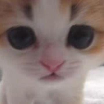 suashka