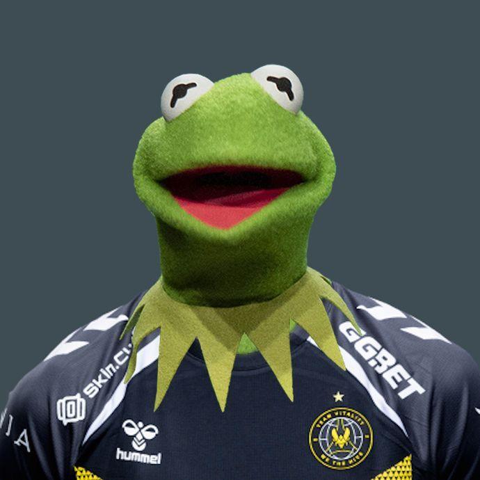 Kermyte avatar