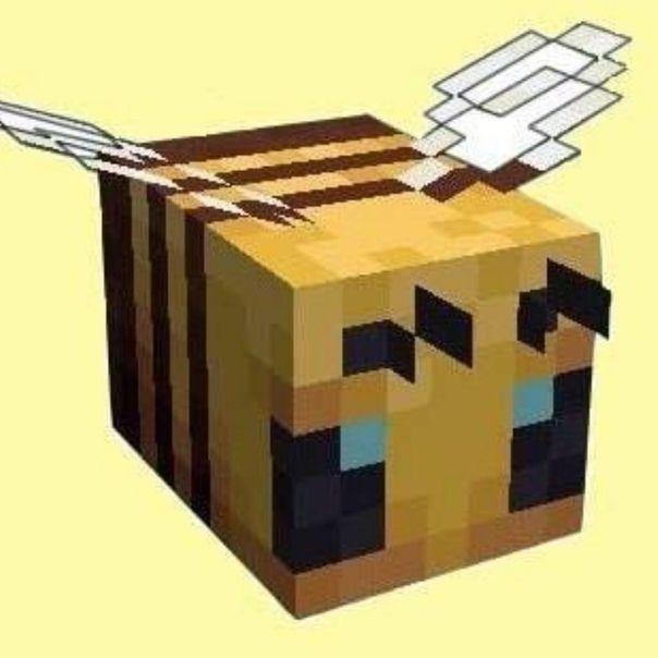 zantar3ss avatar