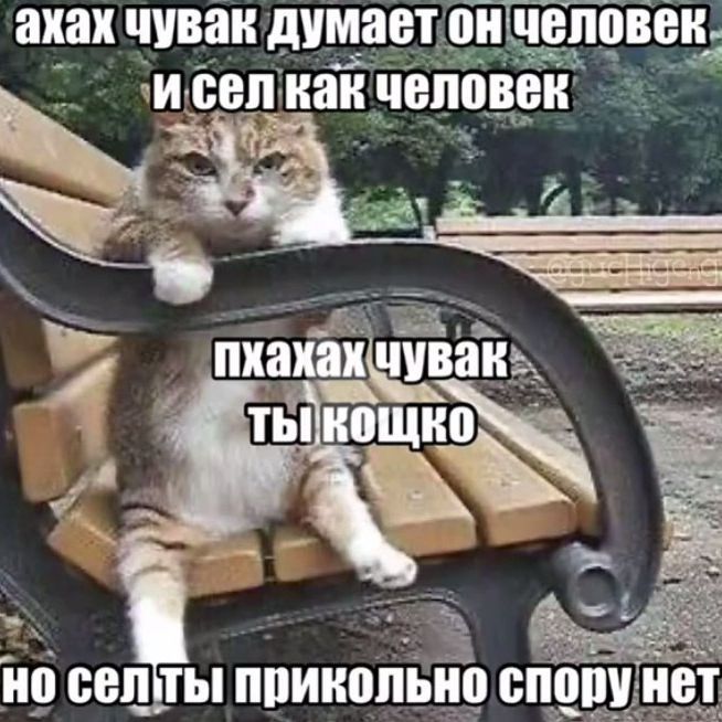 -_Goroshik_-