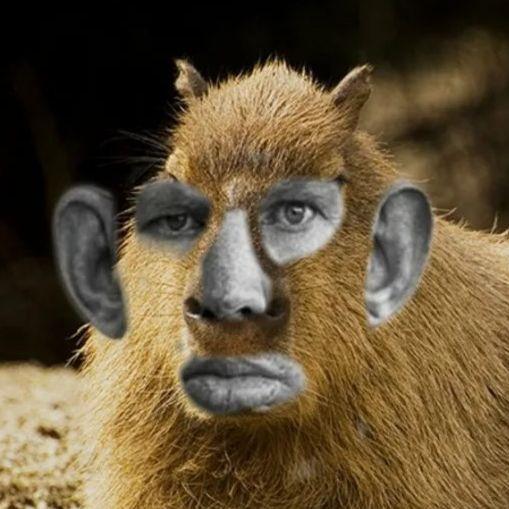 demontja avatar