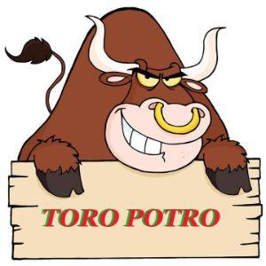 Player TORO_POTRO avatar