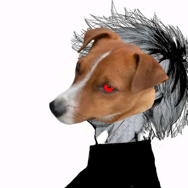 HIM4RS avatar