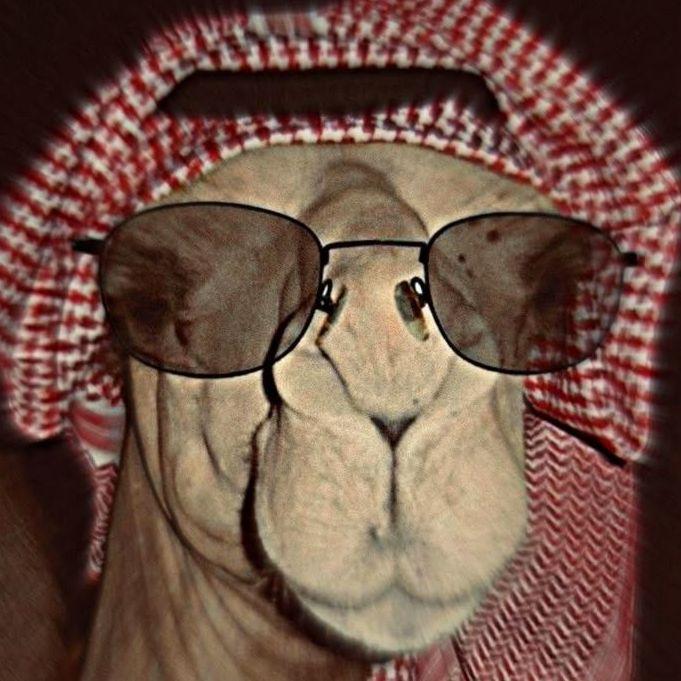 b6yanoo