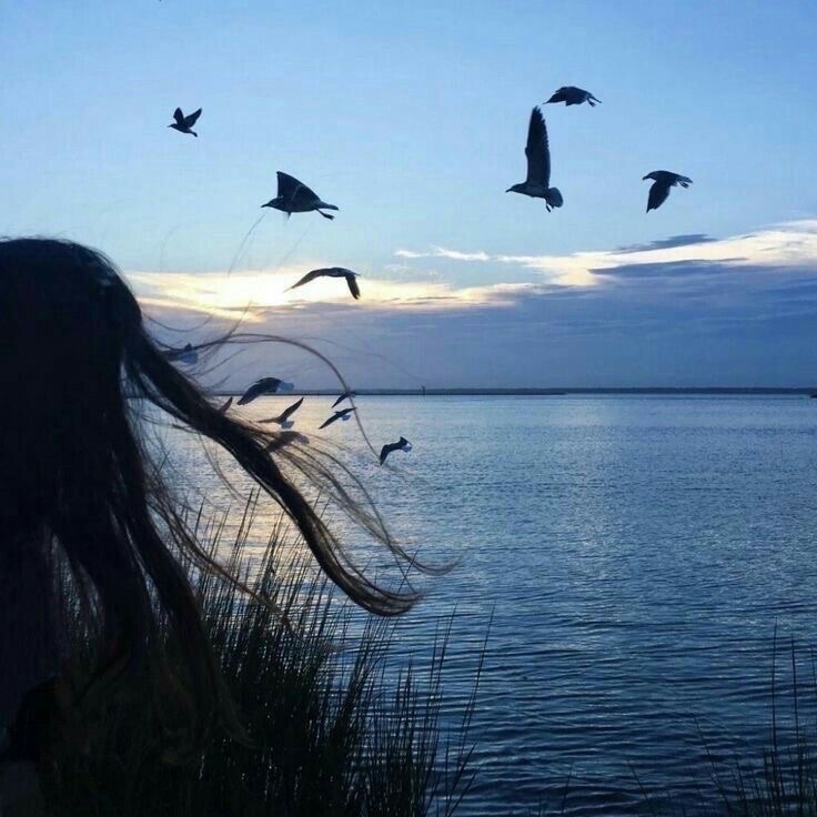 -shy