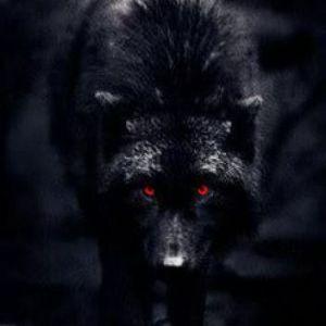 Player BlackWolfxz avatar