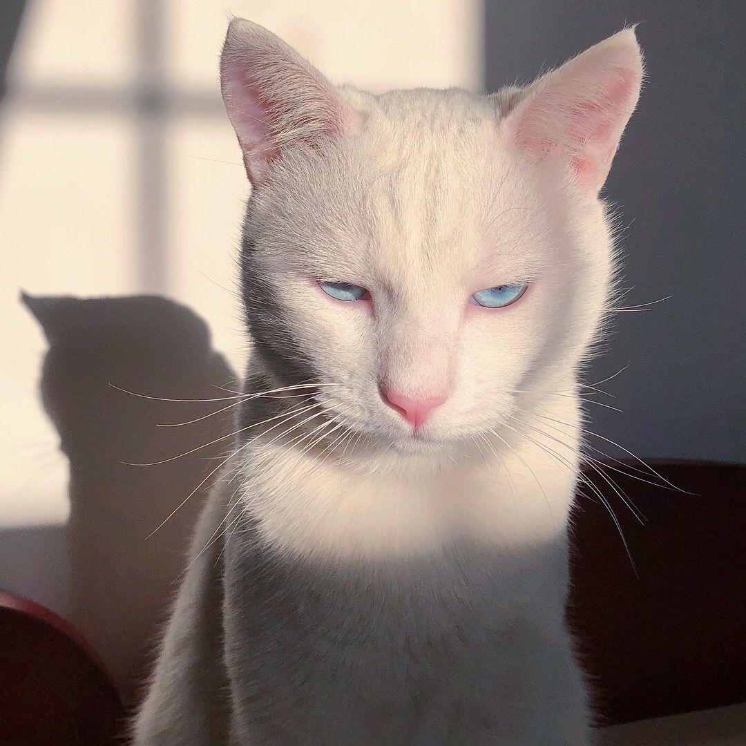 Traske_ avatar