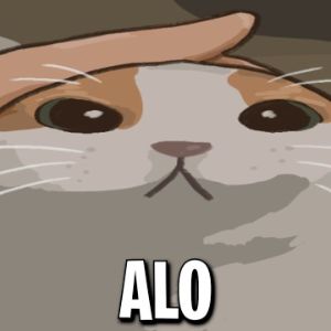 AlohZZ