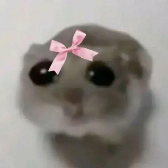m0Ily