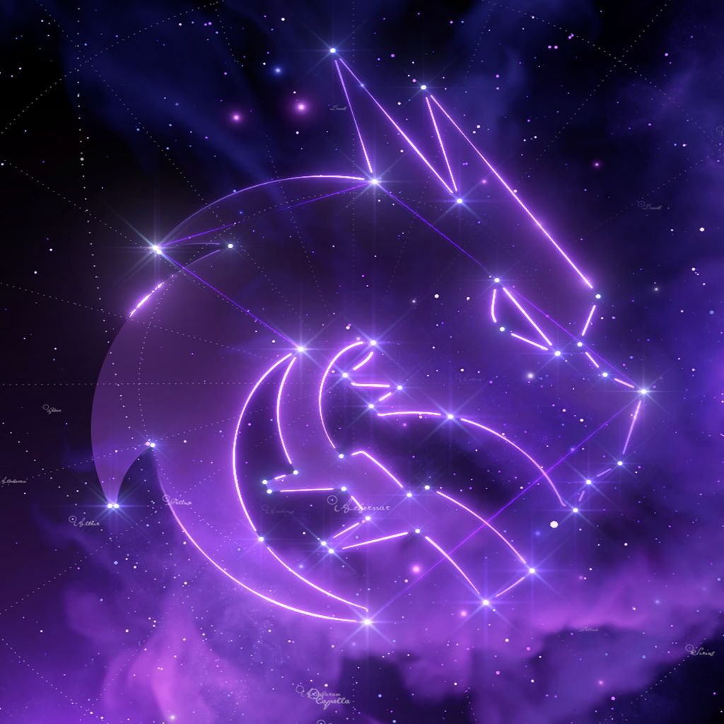 team_luu1337