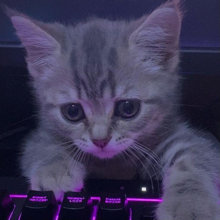 Bezymech avatar