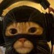 BRL_1 avatar