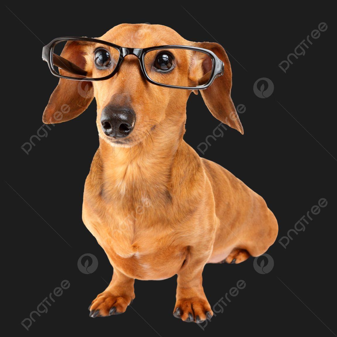 TristanStay avatar