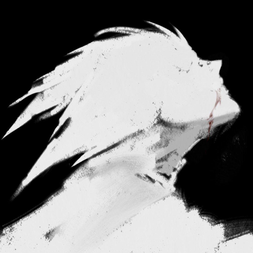 snw666 avatar