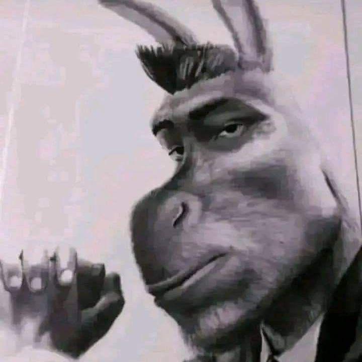 -moZz1- avatar