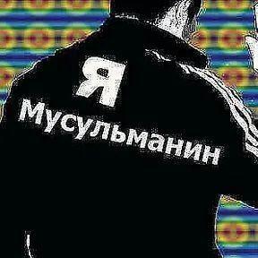 kryt0i_che1 avatar