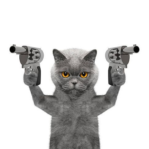 PawTuah