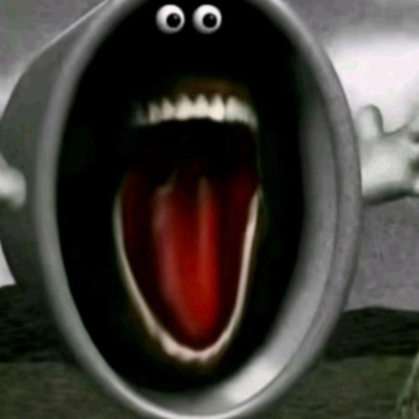 BoomerZoom3r