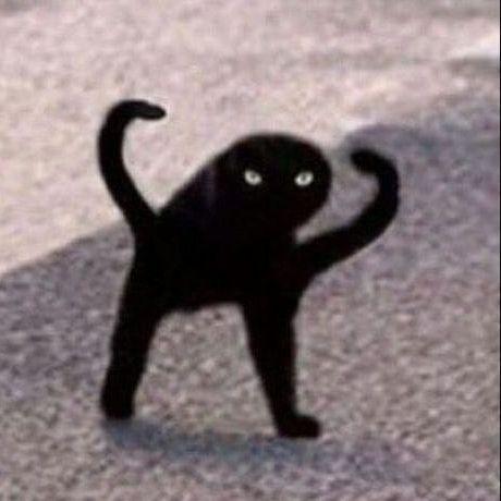 TraumaC3nter avatar