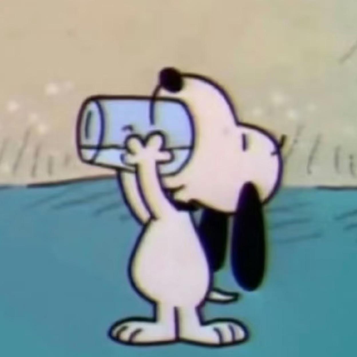 An3onl avatar