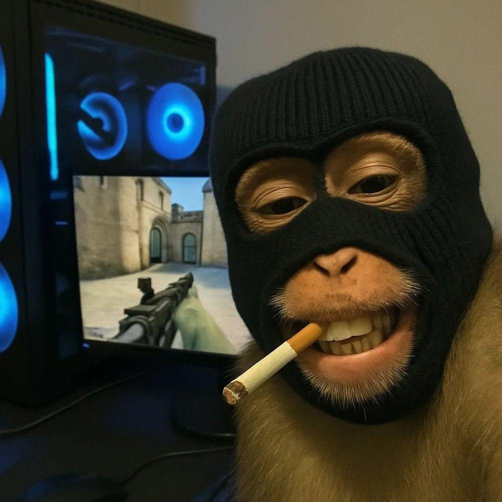 SHarRoEb avatar