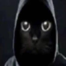 zhekoras avatar