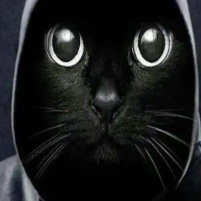 _Orlando_Rz avatar