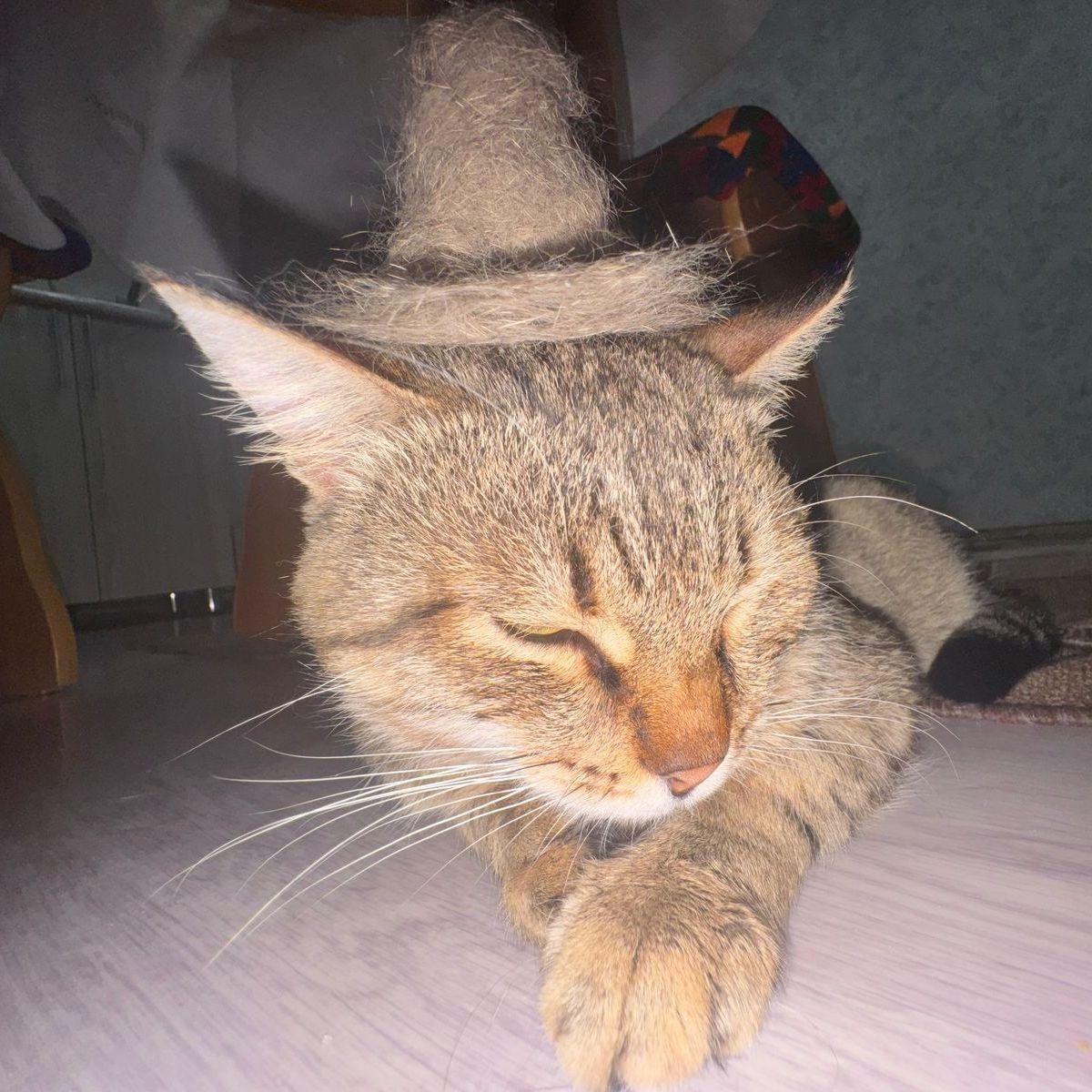 aknurzx