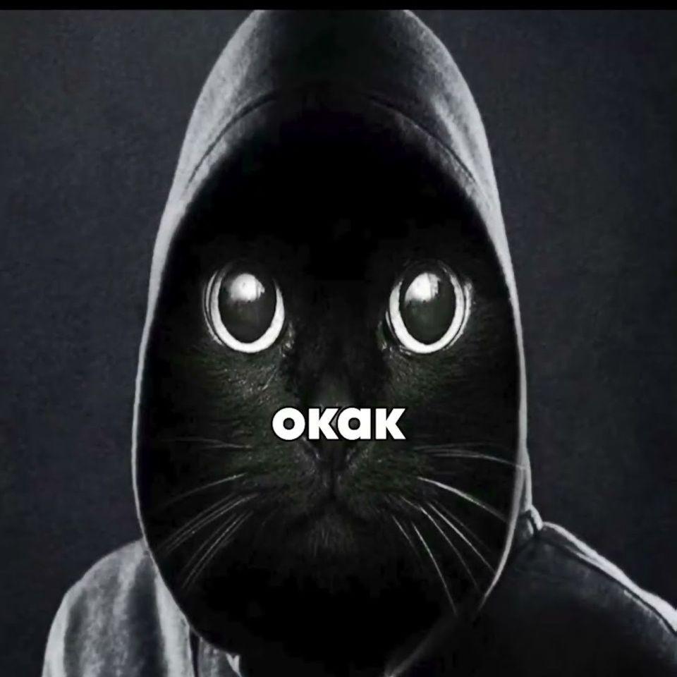 00kak avatar