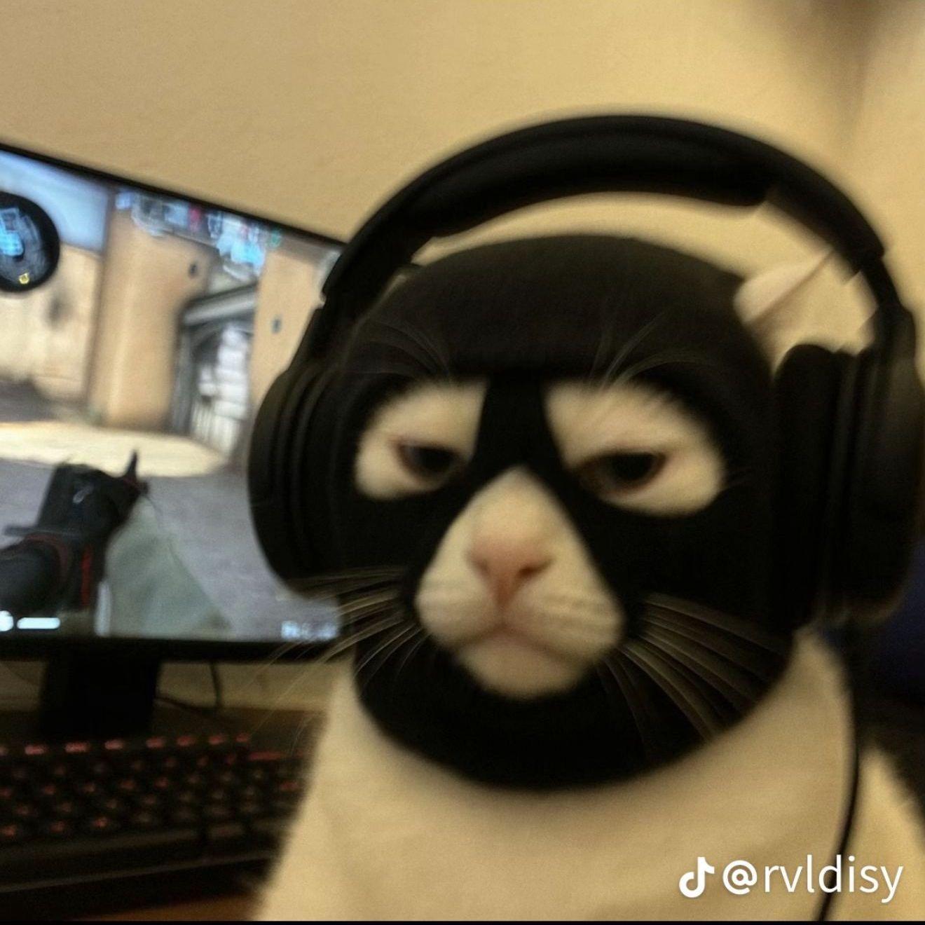 Hugo_blvck avatar