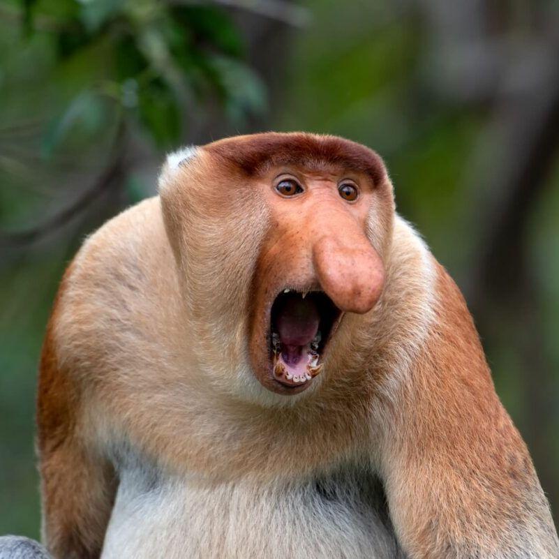 mazembere avatar