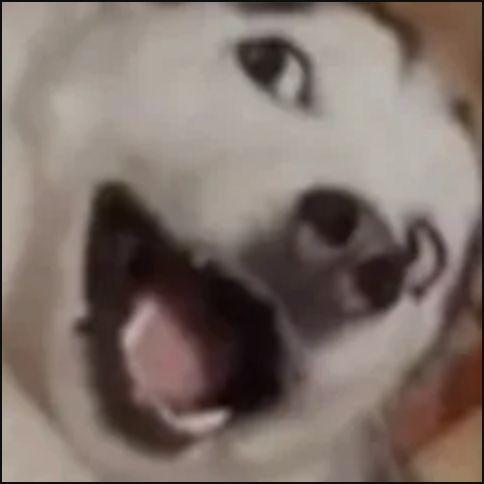 RaspberryEMP avatar